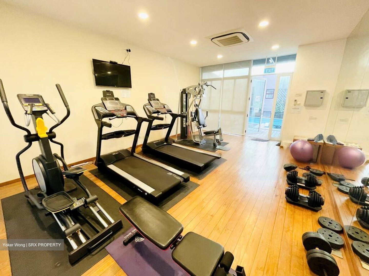 Holland Mansion (D10), Condominium #468529291
